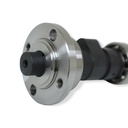 ARBOL DE LEVAS IT FT 250 TS (16-24)/TC 250 (15-24)/DT 250 SPORT (20)/FIERRA 250 (18-19)
