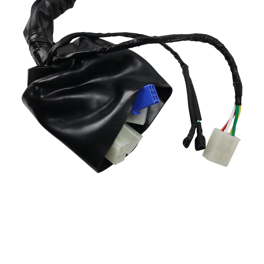 ARNES COMPLETO ITALIKA AT 110 (16-18) 12V