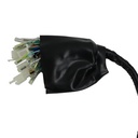 ARNES COMPLETO ITALIKA DM 200 (07-19)