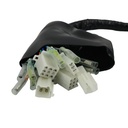 ARNES COMPLETO ITALIKA DM 200 (07-19)