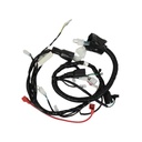ARNES COMPLETO VENTO TORNADO 250 (20-21)