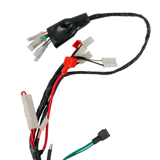 ARNES ELECTRICO ITALIKA DM 250 (20-21)
