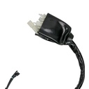 ARNES ELECTRICO ITALIKA DM 250 (20-21)