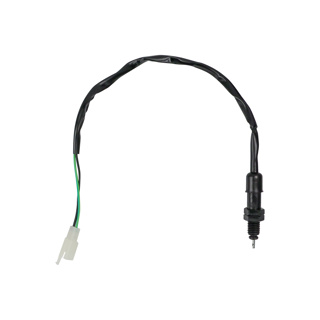 ARNES ELECTRICO ITALIKA DM 250 (20-21)