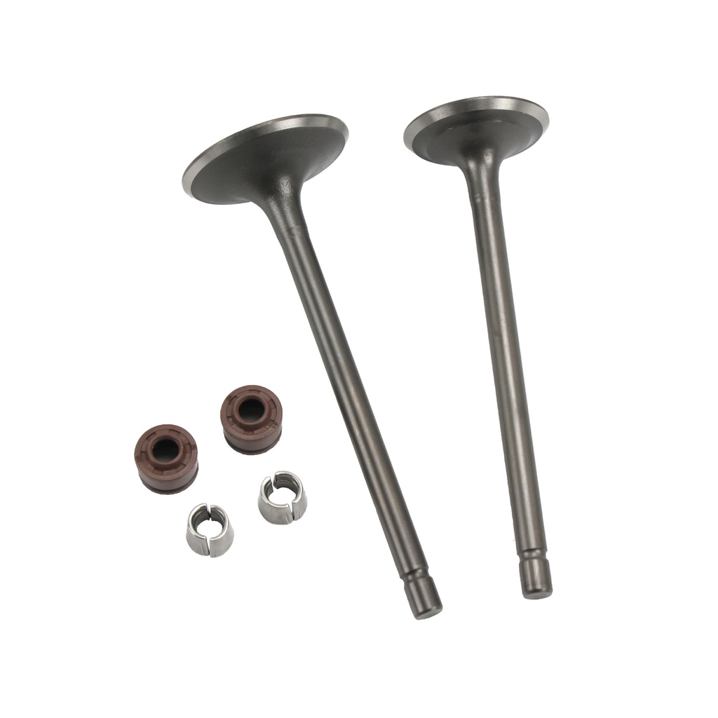 VALVULAS ADMISION/ESCAPE SET ITALIKA DM 200 (14-23)(WSTD)
