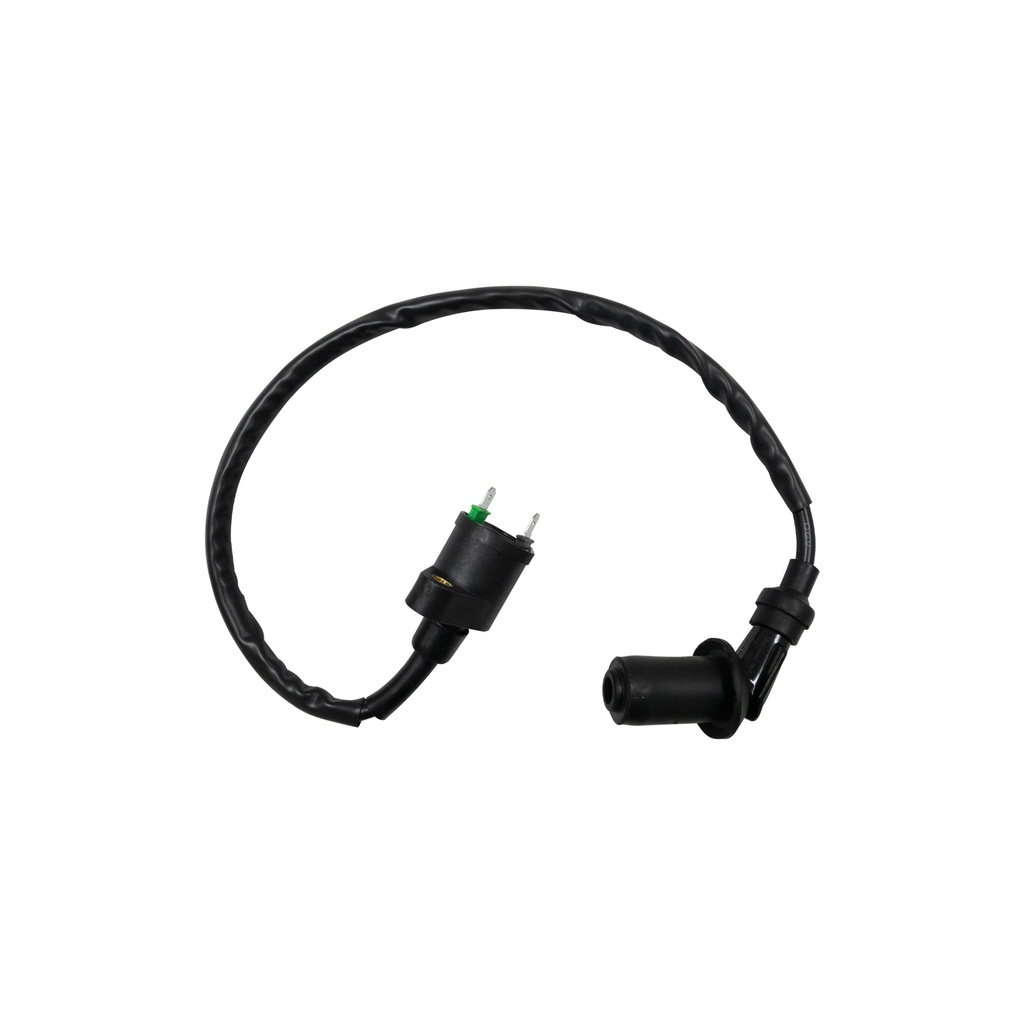 BOBINA ENCENDIDO EXTERNA ITALIKA DS 125 (17-18), DS 150 (06-18) MODELO NUEVO 12V