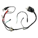 ARNES ELECTRICO ITALIKA DM 250 (20-21)