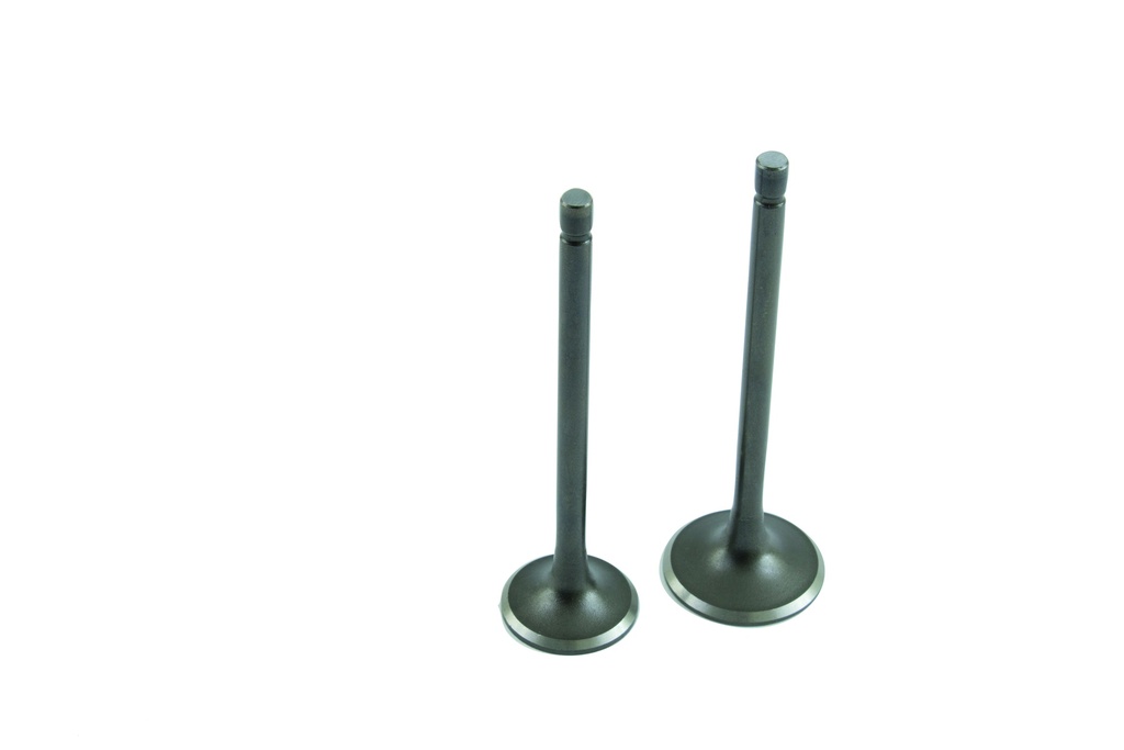 Valvulas de admision y expulsion FT150/FT180