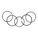 ANILLOS 0.00 ESTANDAR SET ITALIKA FT 250 (15-16)