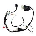 ARNES COMPLETO ITALIKA DM 200 (07-19)