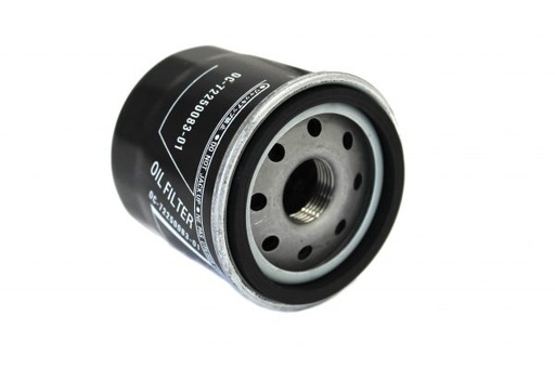 [FICN86] FILTRO ACEITE RE205