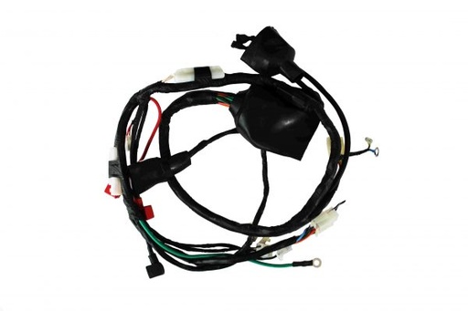 [WRCN07] ARNES COMPLETO DM200 ITALIKA