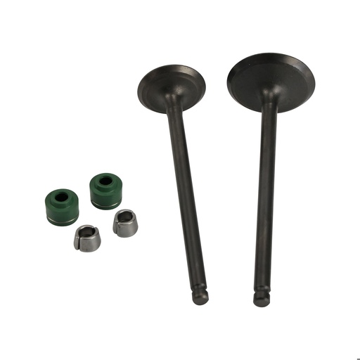 [21-3107-001] VALVULAS ADMISION/ESCAPE SET SUZUKI GIXXER 155 (15-19) (WSTD)
