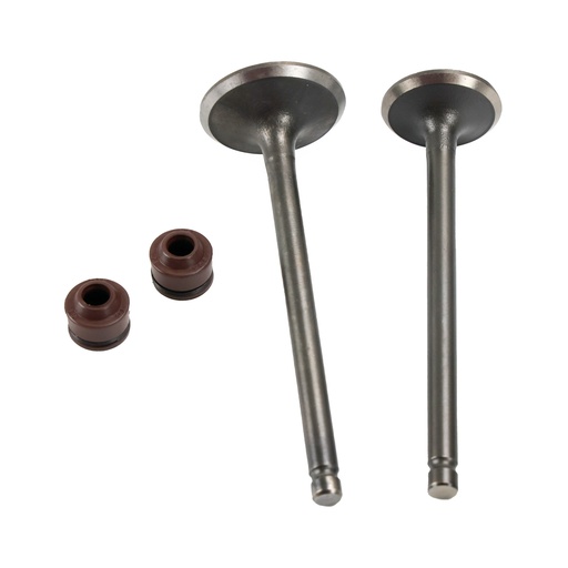 [21-5015-001] VALVULAS ADMISION/ESCAPE SET ITALIKA V 200 (18-22)