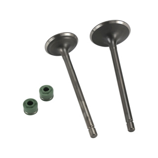 [21-5023-001] VALVULAS ADMISION/ESCAPE SET ITALIKA DM 250 (20-22)