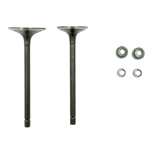 [21-5185-001] VALVULAS ADMISION/ESCAPE SET ITALIKA DM 250 (20-22) (WSTD)