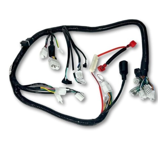 [WRCN62] ARNES COMPLETO XPRESS 170 VENTO
