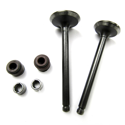 [21-5041-001] VALVULA ADMISION/ESCAPE SET CON SELLOS/CANDADOS ITALIKA AT 110 (05-16)