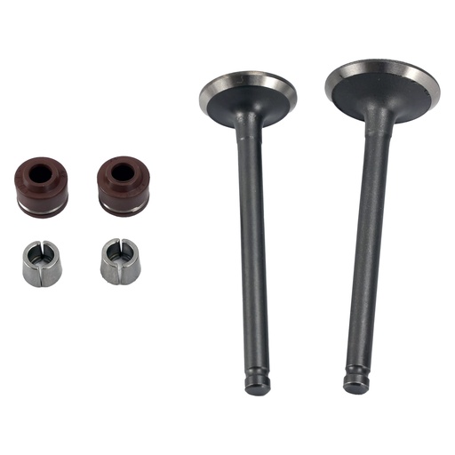 [21-5073-001] VALVULA ADMISION/ESCAPE SET ITALIKA AT 110 (05-16)