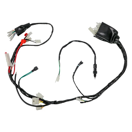 [20-5897-001] ARNES ELECTRICO ITALIKA DM 250 (20-21)