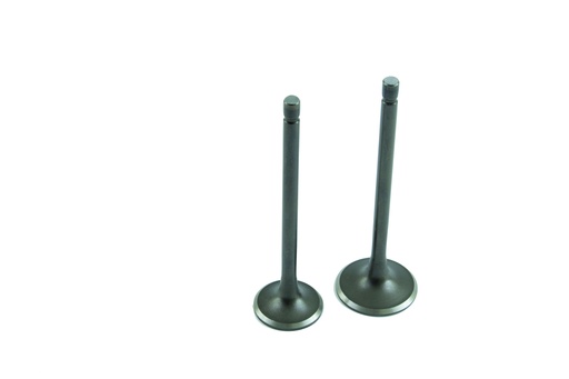 [VACN09] Valvulas de admision y expulsion FT150/FT180