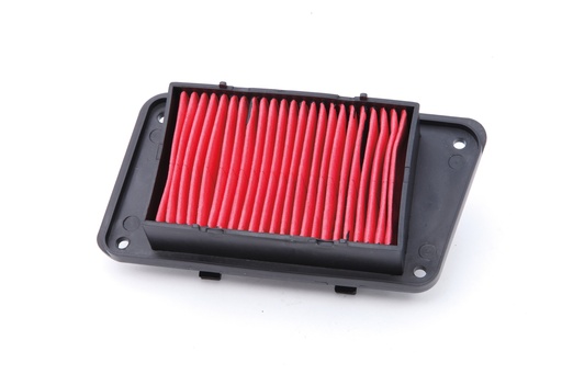 [FICN40] Filtro de aire WS175