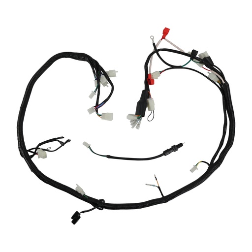 [20-5913-001] ARNES ELECTRICO ITALIKA RT 200 GP (17-19)/ RT 200 (20-24) 12V