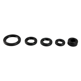 [07-5026-001] RETENES MOTOR SET ITALIKA AT 110 (05-16)