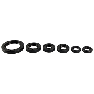 [07-7001-001] RETENES MOTOR SET VELOCI XEVERUS 250 (21)