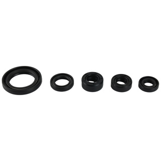 [07-3002-001] RETENES MOTOR SET SUZUKI EN 125 HU (07-19)