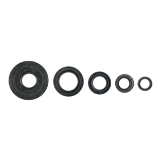 [07-2004-001] RETENES MOTOR SET HONDA DIO 110 (13-19)/NAVI 110 (19-23)