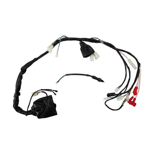 [20-5887-001] ARNES COMPLETO ITALIKA AT 110 (16-18) 12V