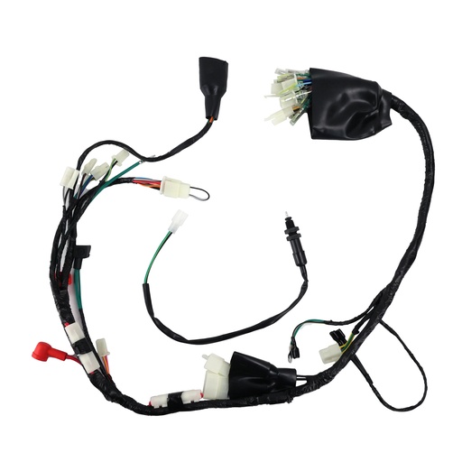 [20-5566-001] ARNES COMPLETO ITALIKA DM 200 (07-19)