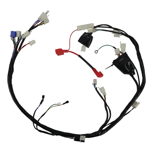 [20-5911-001] ARNES COMPLETO ITALIKA 200 Z (19-21)
